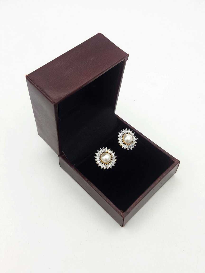 cz_diamond-earring-ERCZ17020PLTT